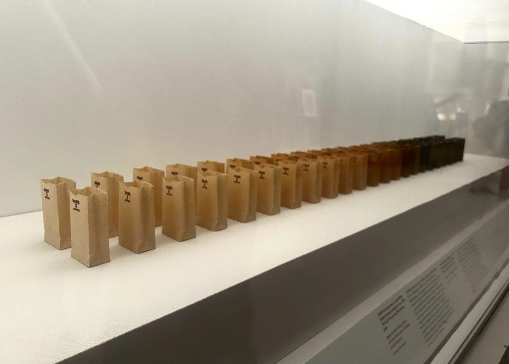Anders Bergstrom (American, born 1971), Brown Bag Test, 2014. Photo: Lanney Jing.